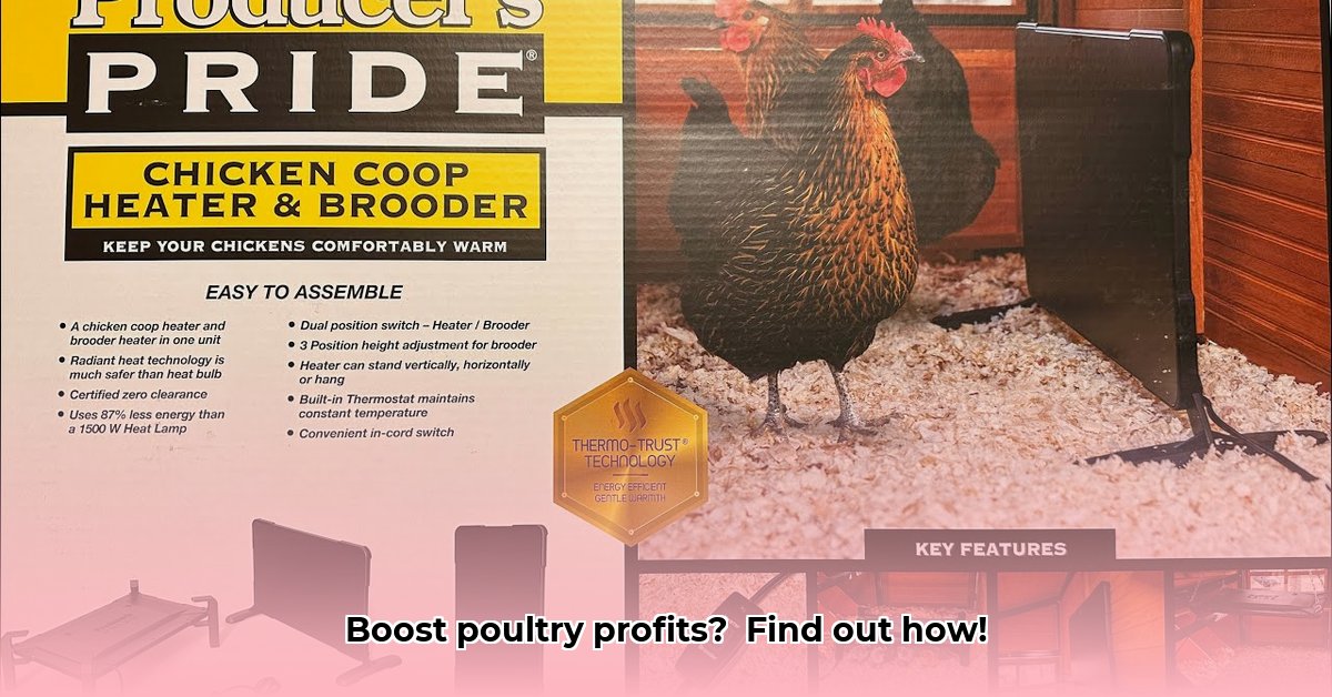 chicken-heater-tractor-supply